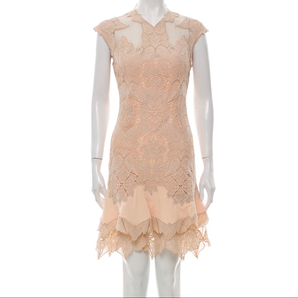 JONATHAN SIMKHAI Lace Dress